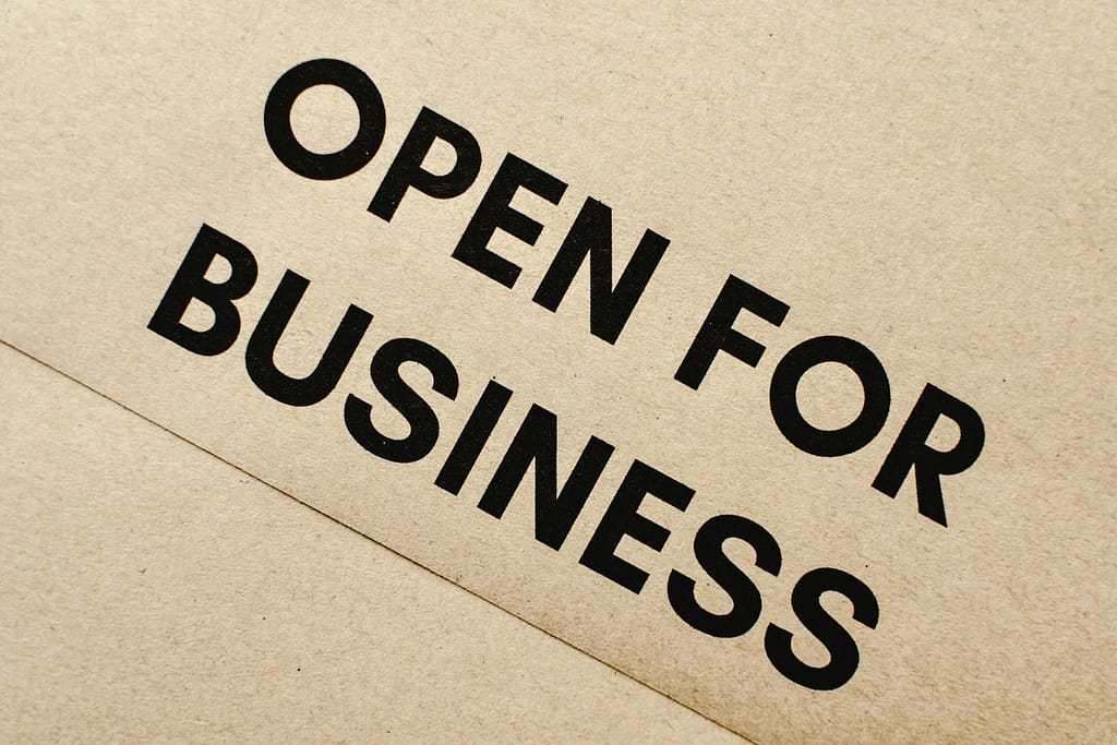 Business Grant for Women: 6 Mistakes to Avoid 1 pexels eva bronzini 6956129 1