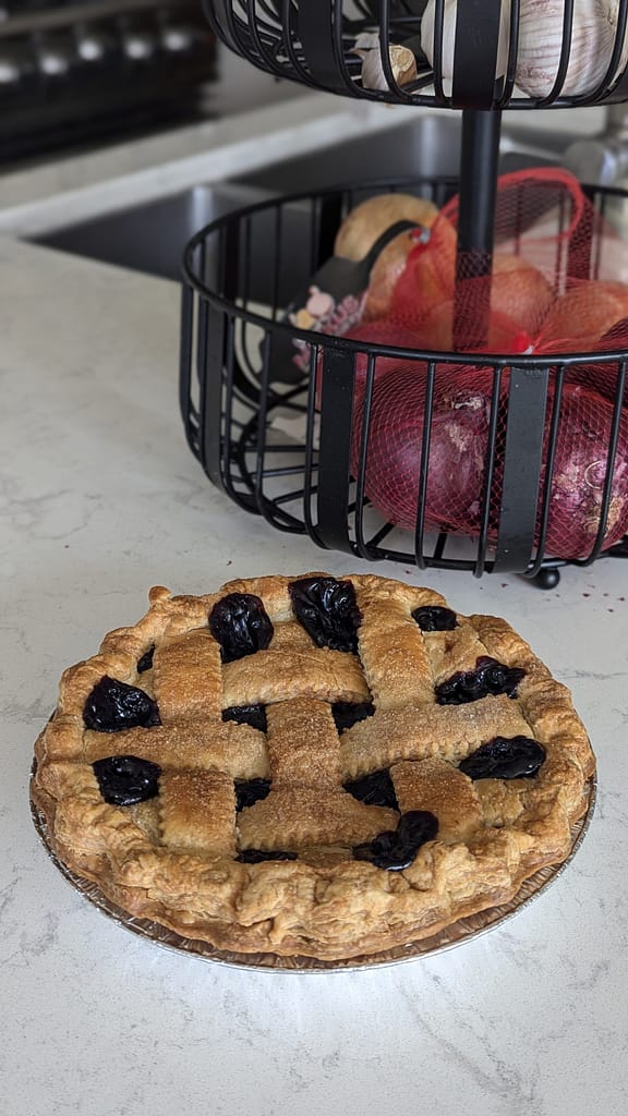 discovering hacklebarney state park - chester, nj | blueberry pie for hacklebarney farm.