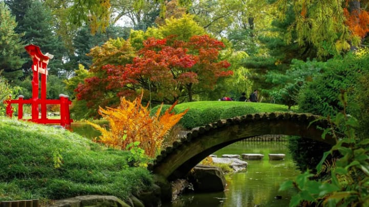 Quieting the Hustle: NYC's Hidden Gems for Mental Clarity in 2025 1 Snip Brooklyn Botanic Garden is hosting a fall foliage outing with live 1